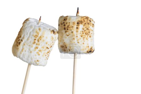 Photo for Toasted marshmallows on a stick isolated on a white background - Royalty Free Image