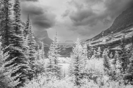 Téléchargez les photos : Image monochromatique du parc national des Glaciers dans l'infrarouge avec une caméra entièrement convertie montrant une perspective unique de cet incroyable parc du Montana. - en image libre de droit
