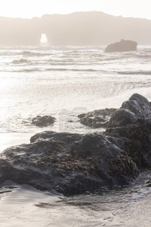 Téléchargez les photos : Un rivage rocheux avec un grand rocher au premier plan. L'eau est agitée et le ciel couvert - en image libre de droit