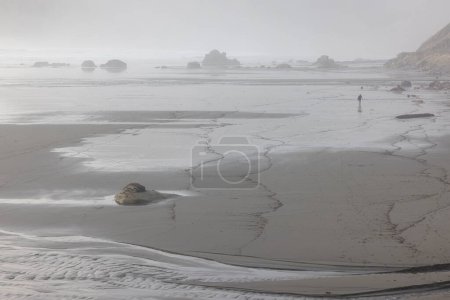 Téléchargez les photos : Une plage rocheuse avec un grand rocher dans l'eau. Le ciel est couvert et l'eau est agitée - en image libre de droit