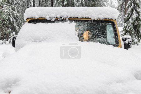 Foto de Un jeep dorado está cubierto de nieve. El conductor está mirando por la ventana. - Imagen libre de derechos
