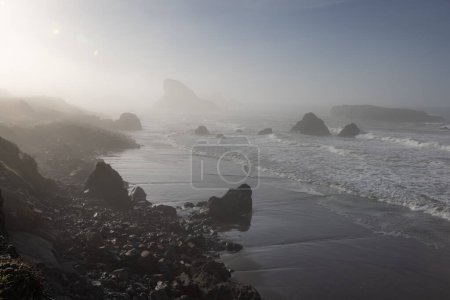 Photo for A foggy beach with rocks and water. The rocks and water create a sense of serenity, while the fog adds a sense of mystery and tranquility - Royalty Free Image