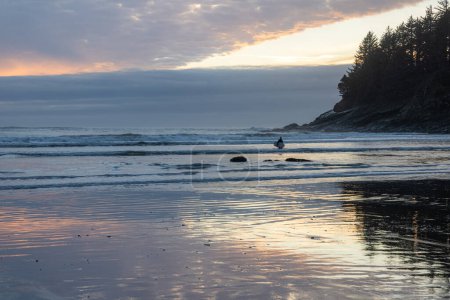 Foto de Un hombre está surfeando en el océano cerca de una costa rocosa. El cielo está nublado y el sol se está poniendo, creando un ambiente hermoso y sereno - Imagen libre de derechos