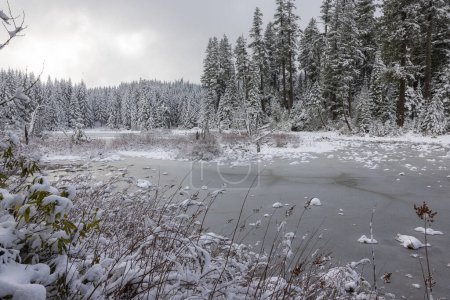 Eine verschneite Landschaft mit einem zugefrorenen See und Bäumen