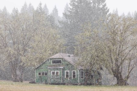 Photo for A small house is covered in snow. The house is surrounded by trees and is located in a rural area. The snow is falling heavily, creating a peaceful and serene atmosphere - Royalty Free Image