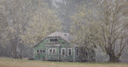 Téléchargez les photos : Une petite maison verte est couverte de neige. La maison est entourée d'arbres et elle est abandonnée. Le paysage enneigé crée une atmosphère sereine et paisible - en image libre de droit