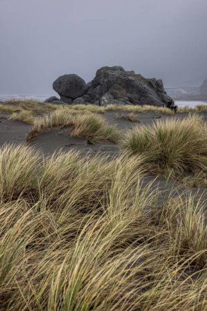 Foto de Una playa rocosa con pastos altos y una gran roca. La escena es tranquila y pacífica, con la roca proporcionando una sensación de estabilidad y las hierbas agregando un toque de belleza natural - Imagen libre de derechos