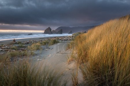 Téléchargez les photos : Une plage avec un rivage rocheux et un grand plan d'eau. Le ciel est nuageux et le soleil se couche - en image libre de droit