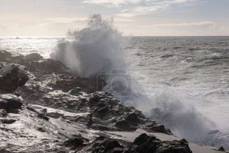 Foto de Shore Acres es un lugar muy popular para ver olas gigantes estrellarse contra la línea de costa rocosa. - Imagen libre de derechos