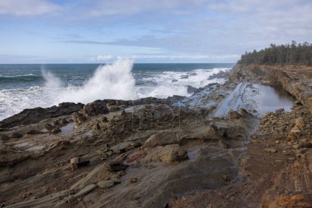 Shore Acres ist ein sehr beliebter Ort, um zu beobachten, wie riesige Wellen gegen die felsige Küste krachen.