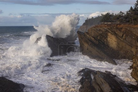 Foto de Shore Acres es un lugar muy popular para ver olas gigantes estrellarse contra la línea de costa rocosa. - Imagen libre de derechos