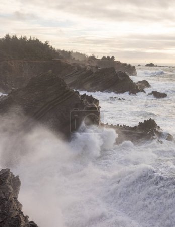 Téléchargez les photos : Shore Acres est un endroit très populaire pour regarder les vagues géantes s'écraser contre la ligne de rivage rocheuse. - en image libre de droit