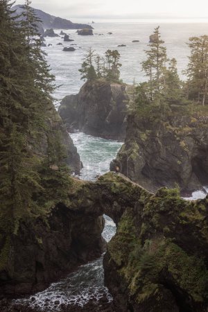 In the Samuel H Boardman Scenic Corridor in southern Oregon, Natural Bridges is one of the most popular places due to the jagged rocks and greenery of the landscape.