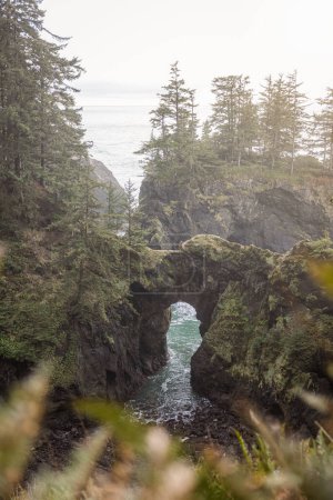 Foto de En el Samuel H Boardman Scenic Corridor en el sur de Oregon, Natural Bridges es uno de los lugares más populares debido a las rocas dentadas y la vegetación del paisaje. - Imagen libre de derechos