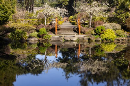 Téléchargez les photos : Un étang avec un pont et un banc au milieu. L'eau est calme et le reflet des arbres et du pont peut être vu dans l'eau - en image libre de droit