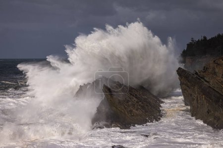 Photo for Giant waves crashing against the rocks in Shore Acres, Oregon creating a spectacular landscape specially during the winter months when the storms move in. - Royalty Free Image