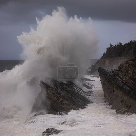 Téléchargez les photos : Des vagues géantes s'écrasent contre les rochers de Shore Acres, en Oregon, créant un paysage spectaculaire spécialement pendant les mois d'hiver lorsque les tempêtes se déplacent. - en image libre de droit