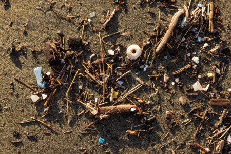 Téléchargez les photos : Une plage couverte de déchets et de débris. La scène est une scène de tristesse et de déception face à l'état de l'environnement - en image libre de droit