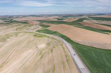 Téléchargez les photos : Vue aérienne du célèbre Washington Palouse avec des champs secs et verts et des collines ondulantes. - en image libre de droit