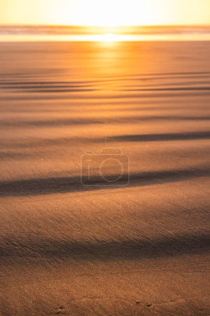 Téléchargez les photos : Une plage avec un coucher de soleil en arrière-plan - en image libre de droit