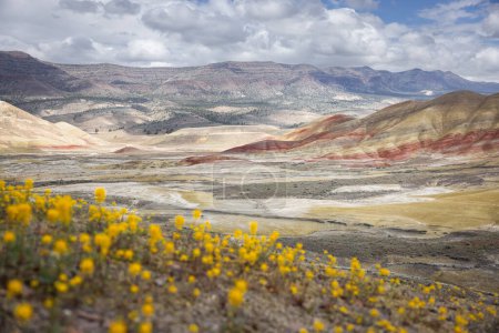 Foto de Hermoso y colorido paisaje de las colinas pintadas en el este de Oregon, cerca de John Day. - Imagen libre de derechos