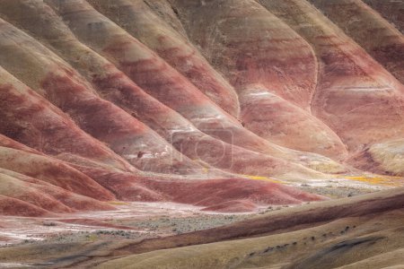 Beau paysage coloré des collines peintes dans l'est de l'Oregon, près de John Day.