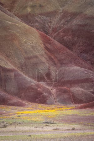 Photo for Beautiful and colorful landscape of the Painted Hills in Eastern Oregon, near John Day. - Royalty Free Image