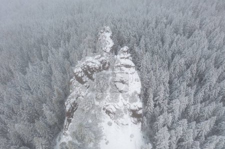 Foto de Un bosque nevado con una gran roca en el medio. La roca está cubierta de nieve y rodeada de árboles. La escena es tranquila y serena, con la nieve cubriendo el suelo - Imagen libre de derechos