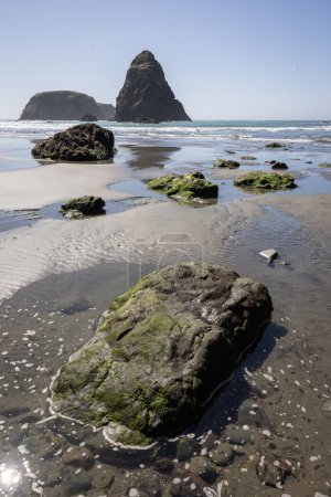 A rocky beach with a large rock in the foreground. The rock is covered in moss and is surrounded by other rocks. The beach is calm and peaceful, with the ocean in the background