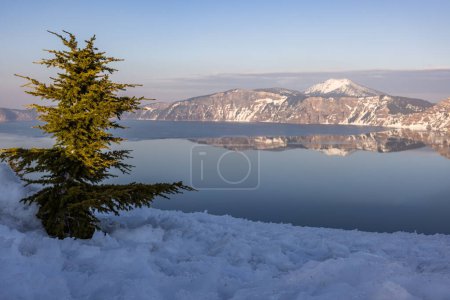 Téléchargez les photos : A pine tree is standing in the snow next to a body of water. The scene is peaceful and serene, with the snow-covered landscape and the reflection of the tree in the water - en image libre de droit