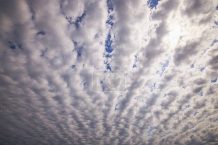 Photo for Landscape with formation of clouds in the sky on a summer day. - Royalty Free Image