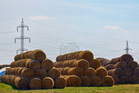 Photo for Straw bales stored at an agricultural farm - Royalty Free Image