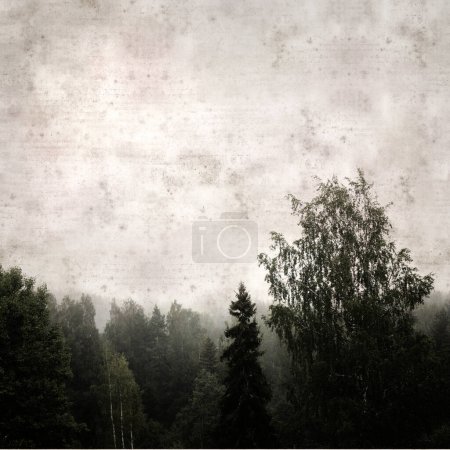Photo for Stylish textured old paper background with forest of spruces in Finland in misty conditions - Royalty Free Image