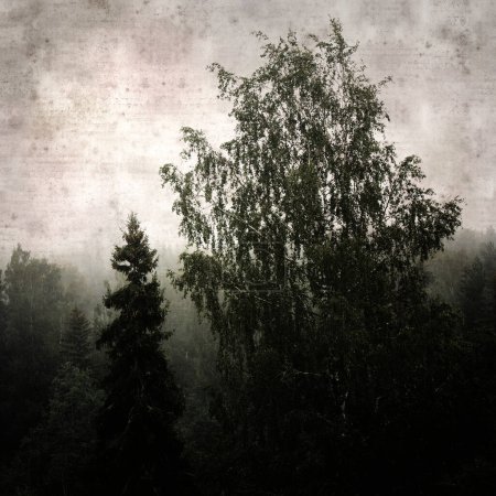 Photo for Stylish textured old paper background with forest of spruces in Finland in misty conditions - Royalty Free Image