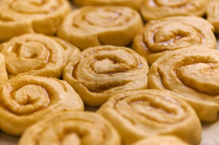 tray of cinnamon rolls ready to go into the oven, macro comfort food background