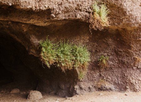 Gran Canaria, Telde municipality, aboriginal cave dwellings complex Poblado de las Cuevas del Calasio