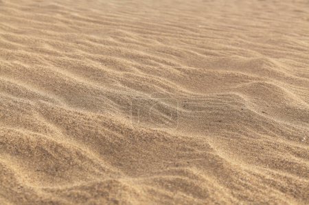 natürliches Sandmuster, das durch Wind entsteht, der unterschiedlich große und farbige Partikel bläst