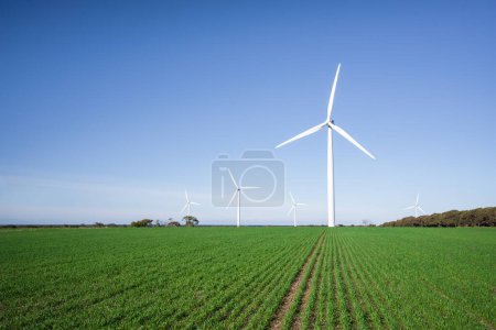 Windpark in Südaustralien