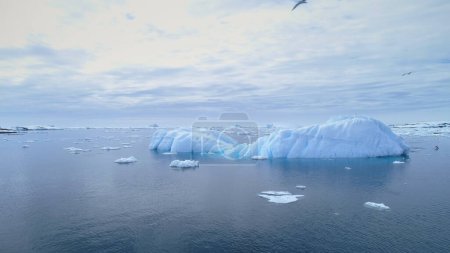 Iceberg Float In Clear Water Ocean Aerial View. Gull Fly Above Huge Ice Melt in Ocean, Global Climate Change Concept. Penguin Swim in Polar Glacier Seascape Drone Footage Shot in 4K UHD