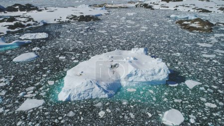 Foto de Antarctica Enorme Iceberg Float Aerial Tracking View. Arctic Ocean Coast Massive Turquoise Ice Piece Majestic Landscape. Extremo invierno Naturaleza Panorama Drone Vuelo - Imagen libre de derechos