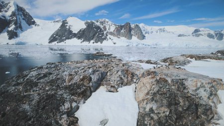 Vuelo aéreo sobre roca de nieve con pingüinos. Antártida Montañas de nieve Fondo. Drone of Ice Frozen Ocean, Polar Mighty Mounts (en inglés). Vista panorámica de invierno del canal Lemaire.