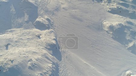 Foto de Vuelo aéreo cubierto de nieve del dron del paisaje. Antarctic Wild Frozen Winter Land Top Down View with Animal Trace (en inglés). Viaje a la Naturaleza Polar. - Imagen libre de derechos