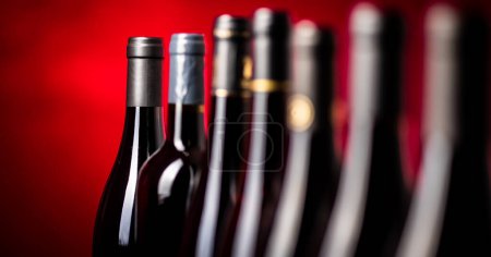 Foto de Botellas de vinos tintos de calidad tomadas con DOF poco profundo; imagen tonificada en color - Imagen libre de derechos