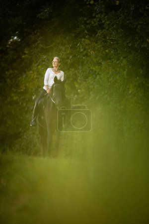 Photo for Woman riding a horse. Equestrian sport, leisure horse riding concept - Royalty Free Image
