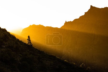Téléchargez les photos : Tôt le matin dans la vallée de Masca, Tenerife, Espagne - Image panoramique à haute résolution - en image libre de droit