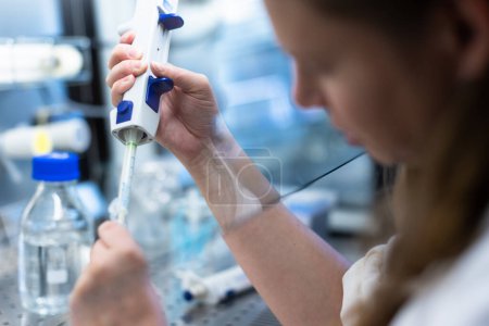 Photo for Female researcher carrying out research experiment in a chemistry lab - Royalty Free Image