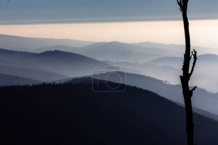 Foto de Paisaje atmosférico montañoso de altas montañas en espesa niebla en clima lluvioso, panorama de cimas montañosas en espesas nubes, amanecer en las montañas a principios de primavera. - Imagen libre de derechos