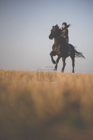Photo for Female horse rider riding outdoors on her lovely horse - Royalty Free Image
