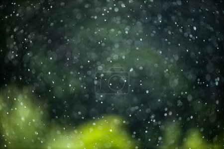 Photo for Rain falling from the sky, bringint the very needed humidity to the nature - Royalty Free Image