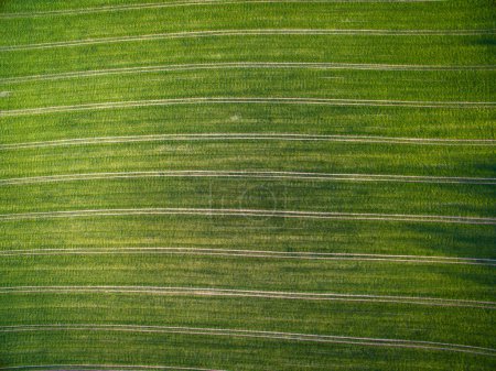 Foto de Tierras de cultivo desde arriba - imagen aérea de un campo verde exuberante - Imagen libre de derechos